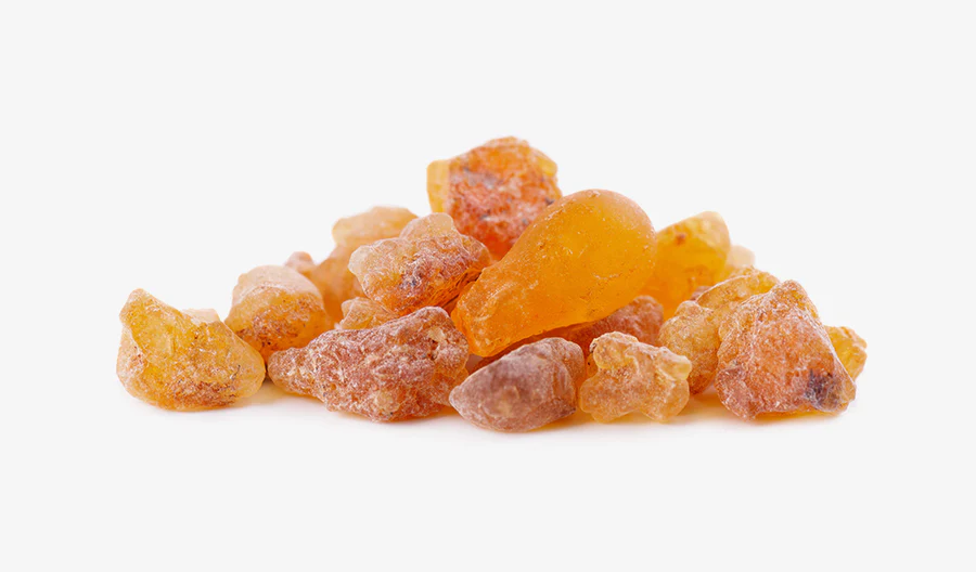 Boswellia