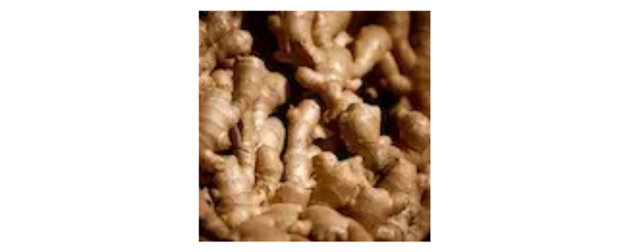Wild Vietnamese Ginger Extract